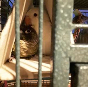 Meet your Posher, Donna charles